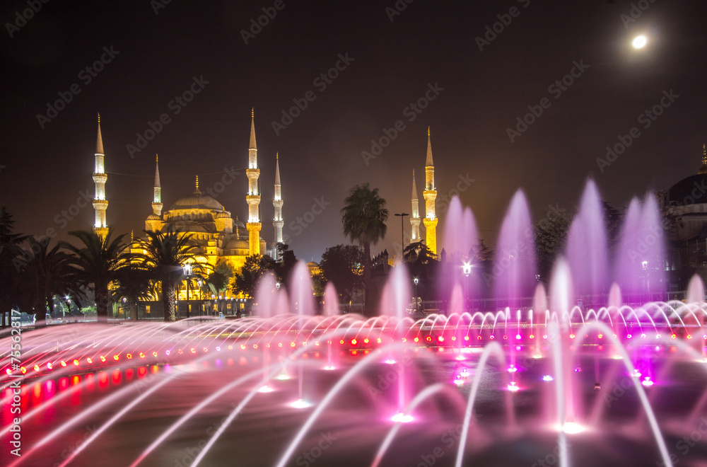 Obraz premium Blue Mosque and fountain, Istanbul, Turkey