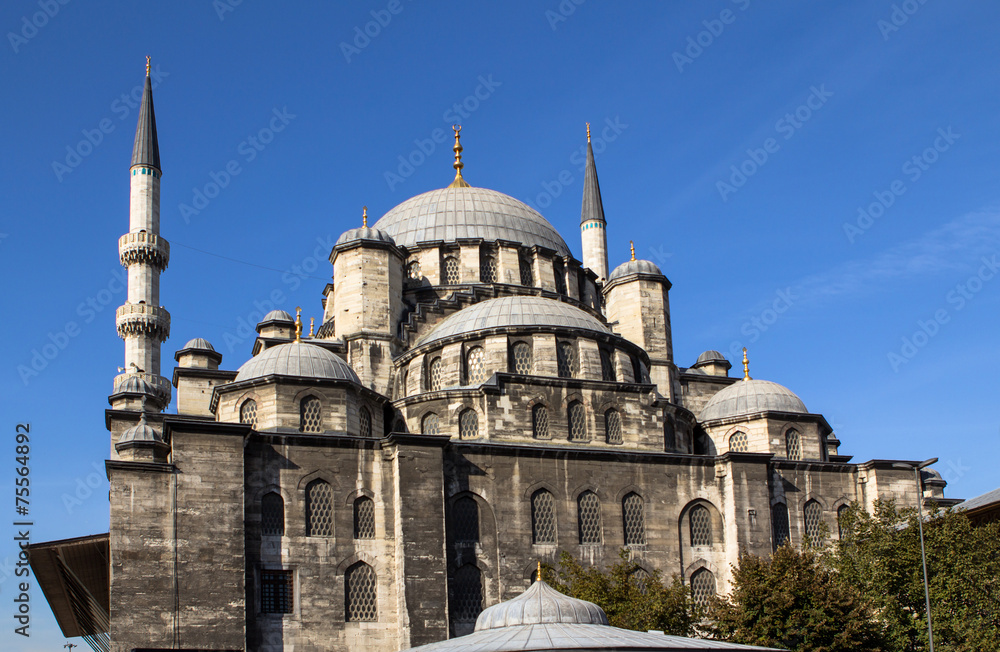 Obraz premium New Mosque 