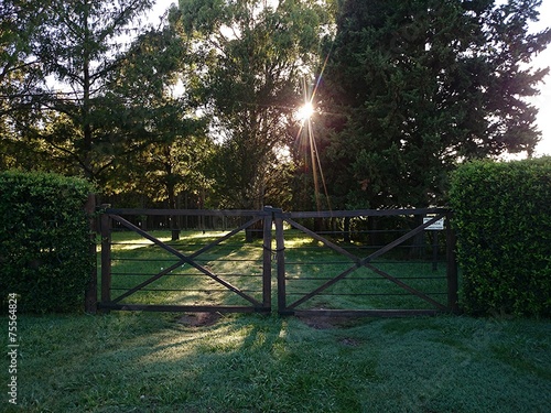 Puerta de ingreso a forestación de pinos