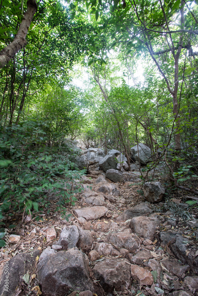 Walkway in Mountains ,Samroiyod nation park, Thailand. Walkway in Mountains ,Samroiyod nation park, Thailand.