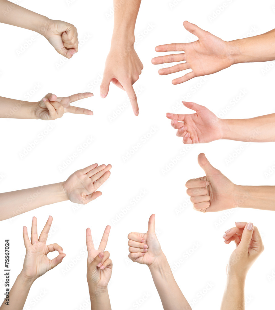 Hand collage, gestures set isolated on white Hand collage, gestures set isolated on white