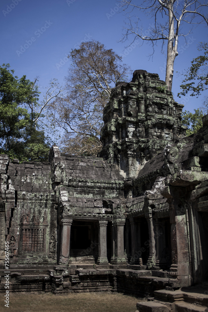 Cambodia, Angkor Wat