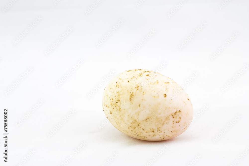 Fototapeta premium dirty duck egg on white background