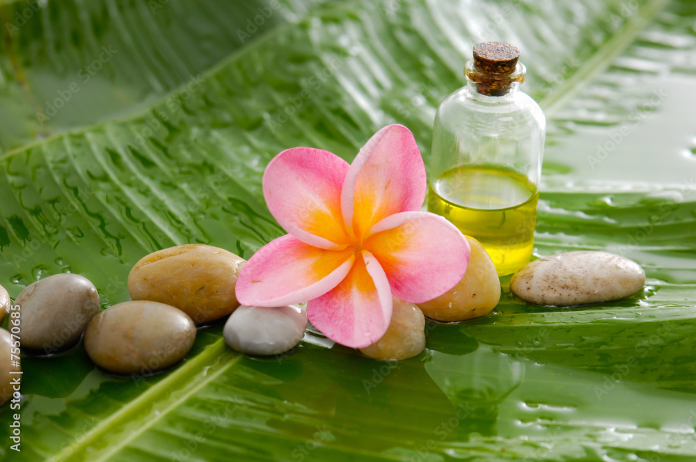 frangipani and pile of stones ,massage oil on banana leaf frangipani and pile of stones ,massage oil on banana leaf