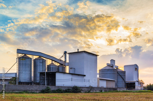 Plant Rice mill