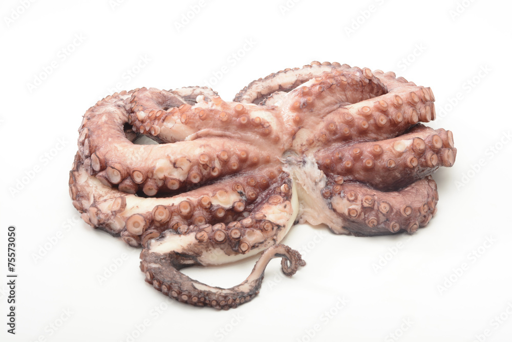 Obraz premium Pulpo cocido