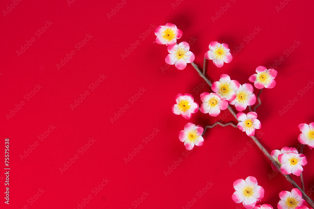 chinese new year cherry blossom flowers with copyspace for desig