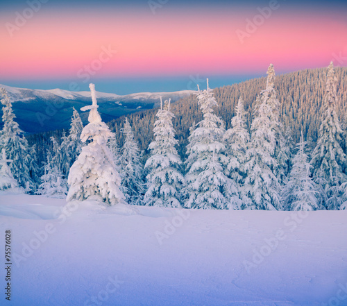 Colorful winter landscape in mountains.
