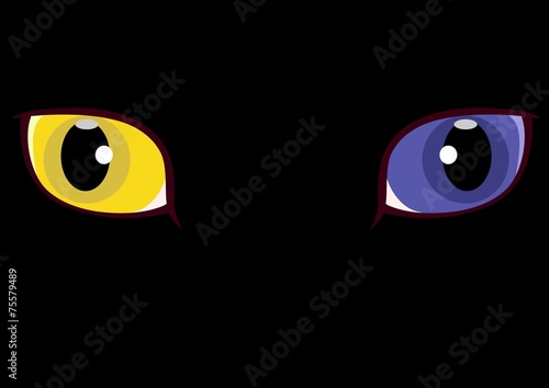 黄色と青のオッドアイ