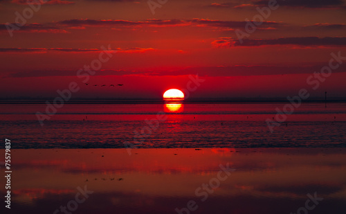 Red sunrise over sea at ebb tide photo