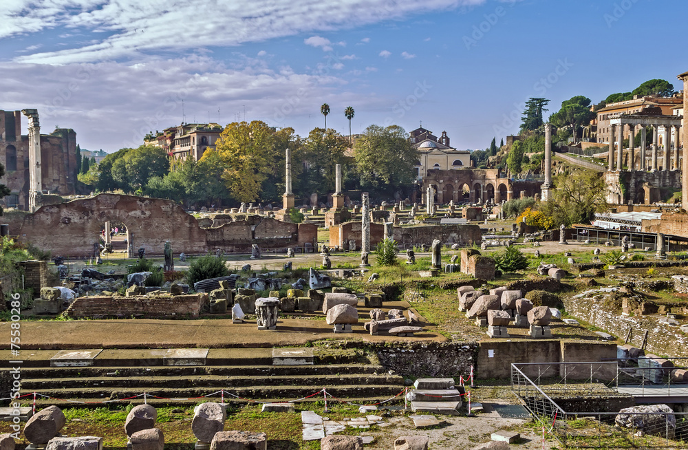 Obraz premium Roman Forum