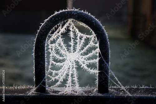 Hard frost over fields in the Berkshire countryside