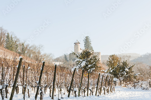 Arlesheim, Dorf, Schloss Birseck, Weinberg, Winter, Schweiz photo