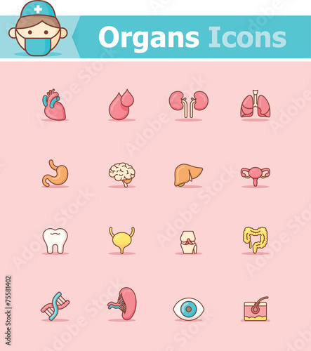 Internal organs icon set