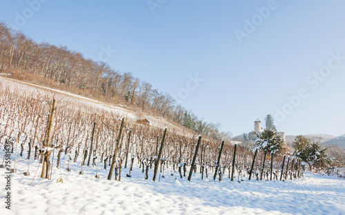 Arlesheim, Dorf, Schloss, Weinanbau, Birseck, Winter, Schweiz photo