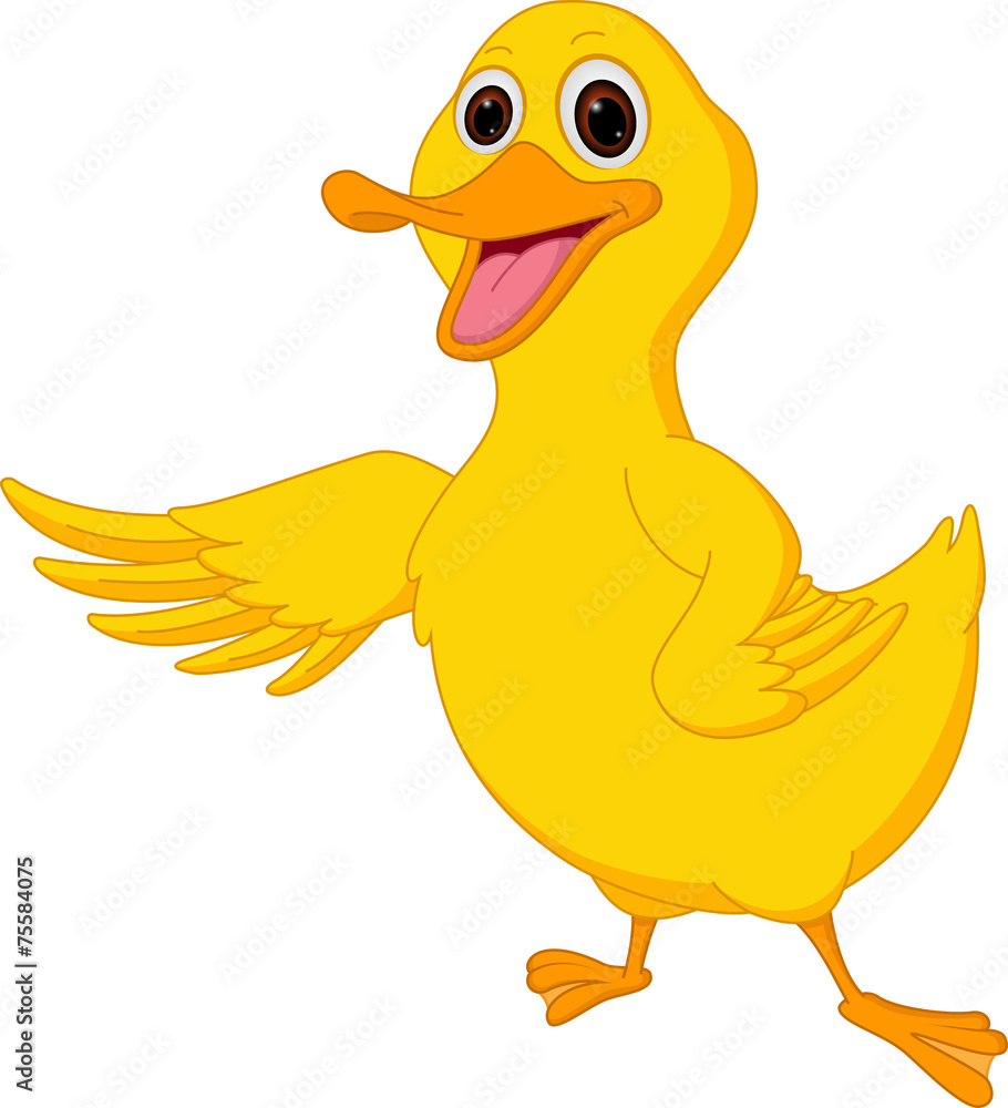 Cute duck cartoon Cute duck cartoon