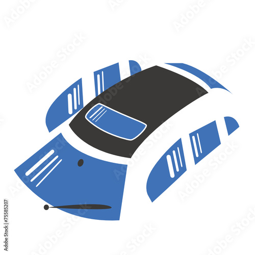 Cristalli parabrezza automobile