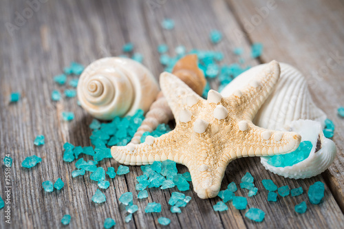 Close-up of seashells on old wooden board.