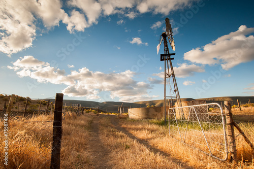 Photography Willmill in the desert