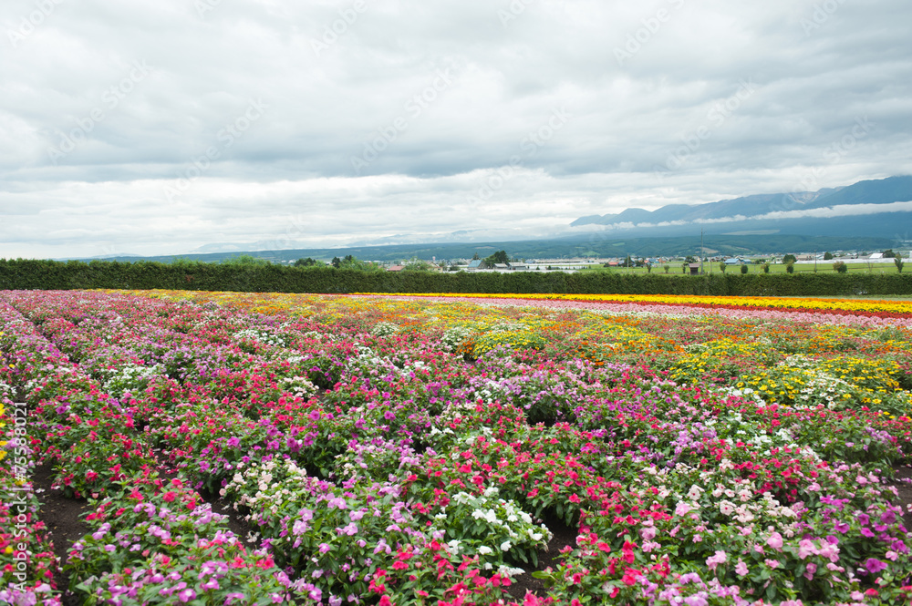 landscape of countryside  in Japan