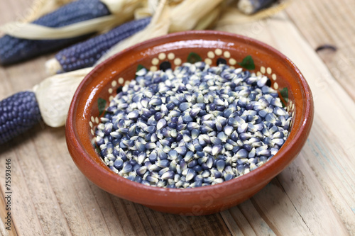 Принти на полотні blue corn, mexican food