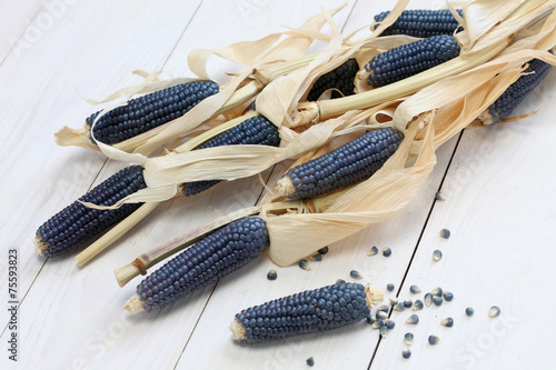 фотографія blue corn, mexican cuisine ingredient