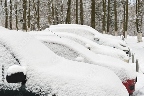 Cars covered with snow in the parking lot © andrew