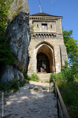 Castle in Poland (Ojców)