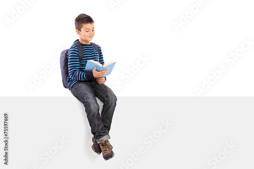 Obraz na plátně Schoolboy reading a book seated on signboard