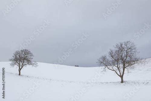 Paesaggio rurale umbro in inverno