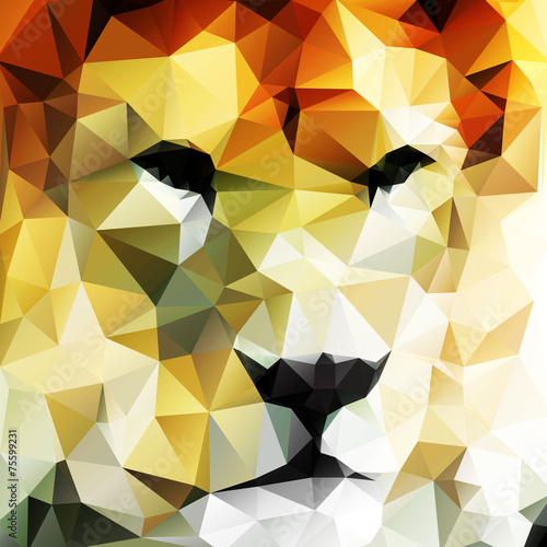 Fototapeta Naklejka Na Ścianę i Meble -  Abstract vector drawing of a lion's head made up of triangles