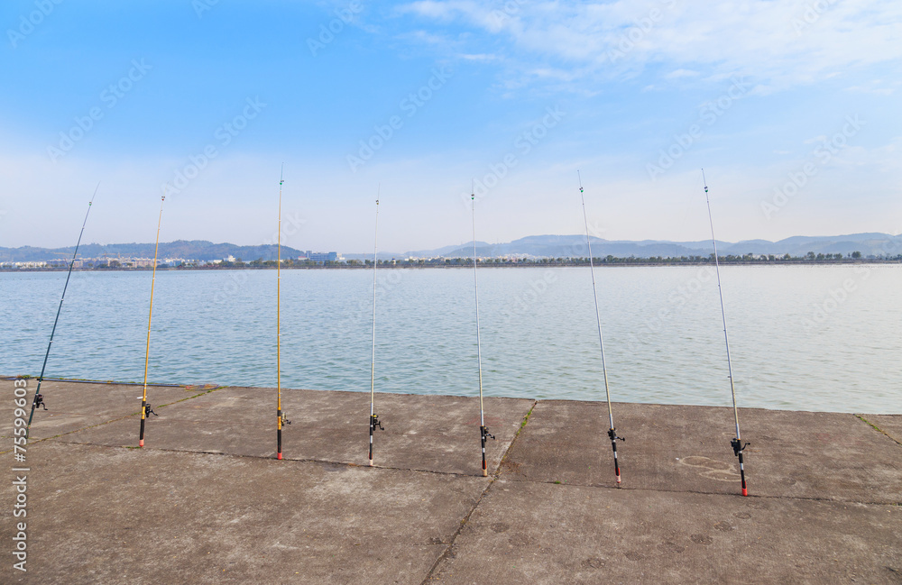 row of fishing rod row of fishing rod