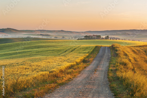 Tuscan fog in the fields sunshine, Italy