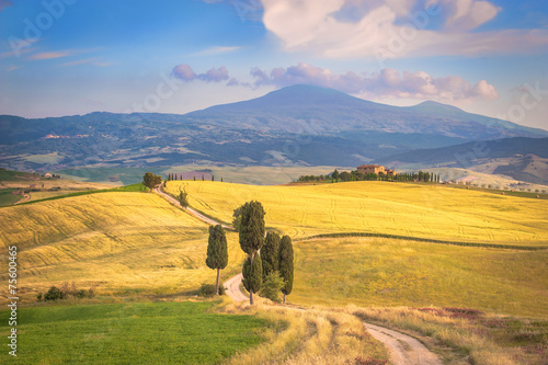 Summer afternoon walks on famous Tuscan road