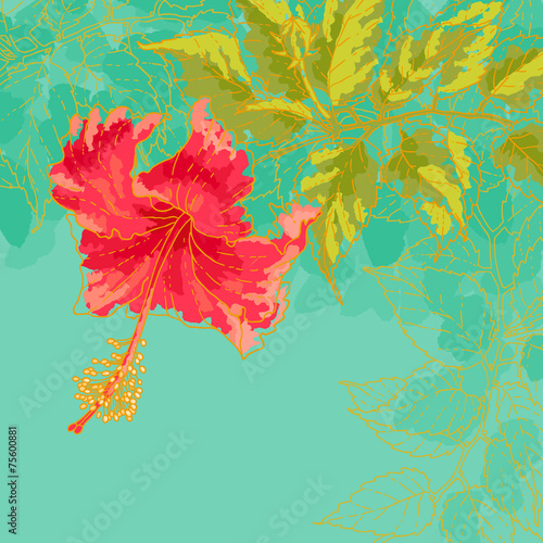 Hibiscus flower on toned background