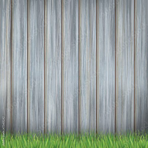 wooden fence and greenfield