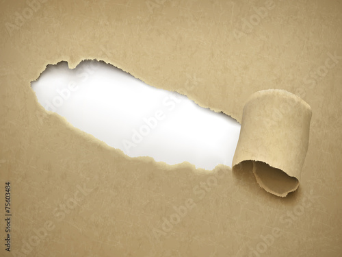 white space behind torn brown paper