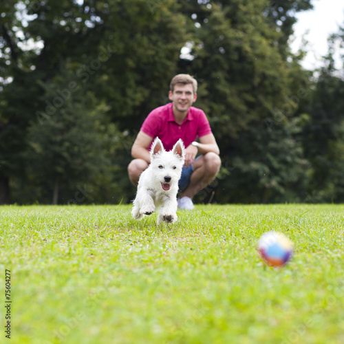 Картината върху платно Young man playing with his dog in the park