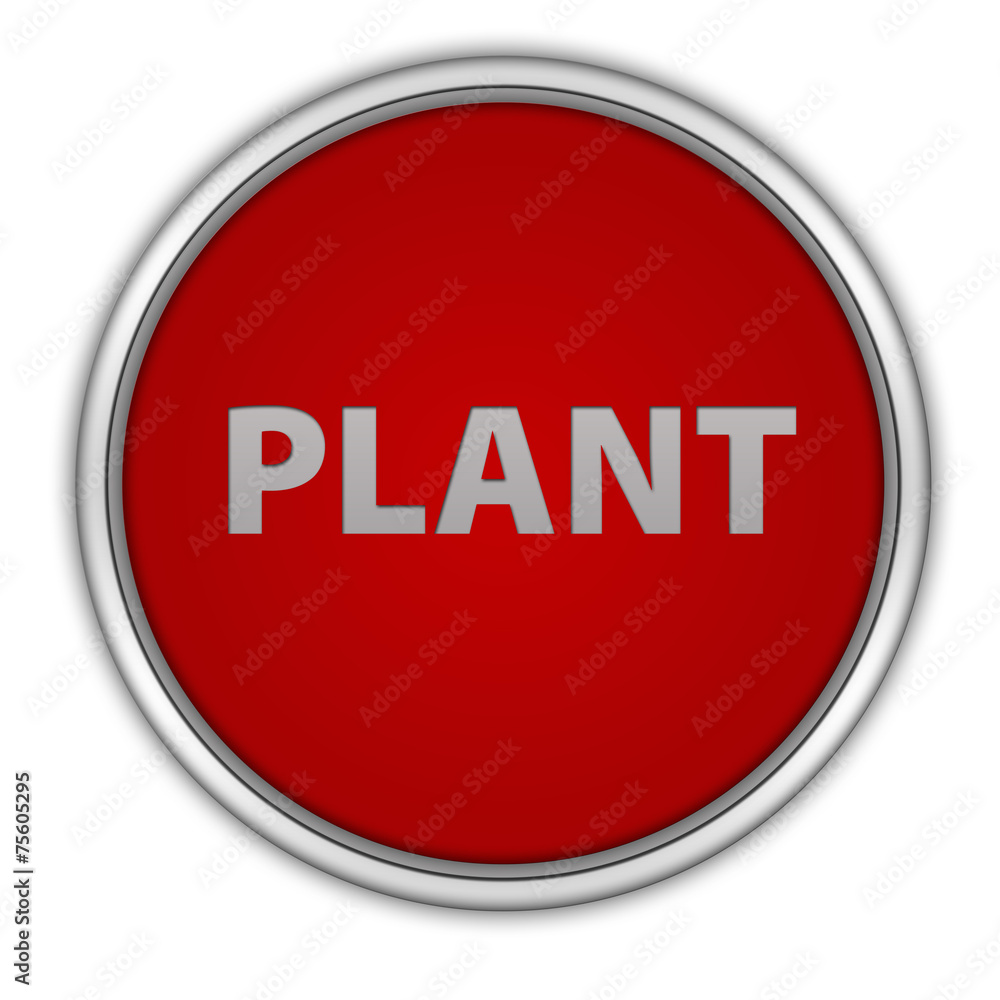 Plant circular icon on white background Plant circular icon on white background