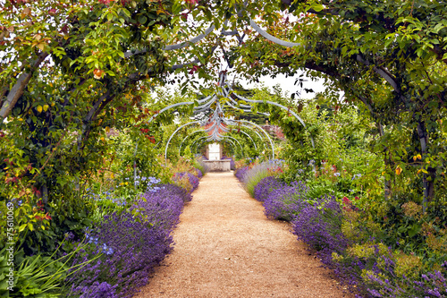 Colourful English summer flower garden with a path under archway © Yols