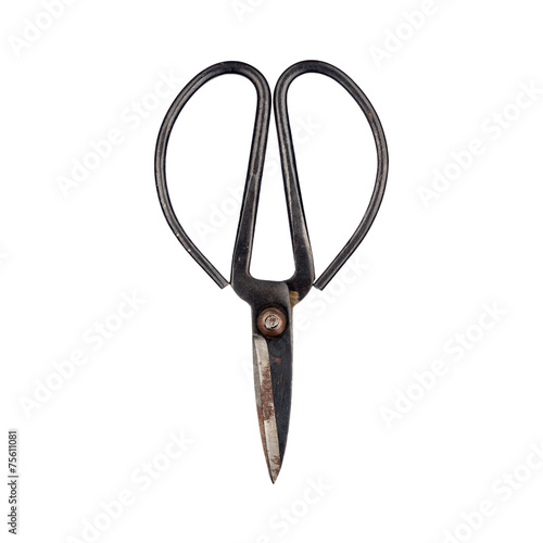 Traditional style antique metal Japanese Bonsai shears/scissors