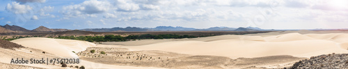 Sand dunes in Viana desert - Deserto de Viana in Boavista - Cape