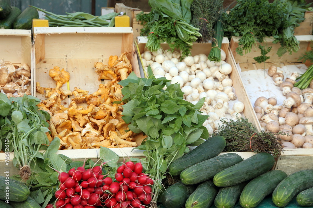 An assortment of mushrooms and vegetables, Provins market France