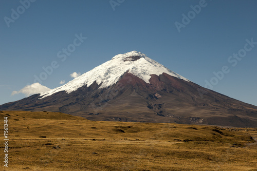 Cotopaxi volcano and moor