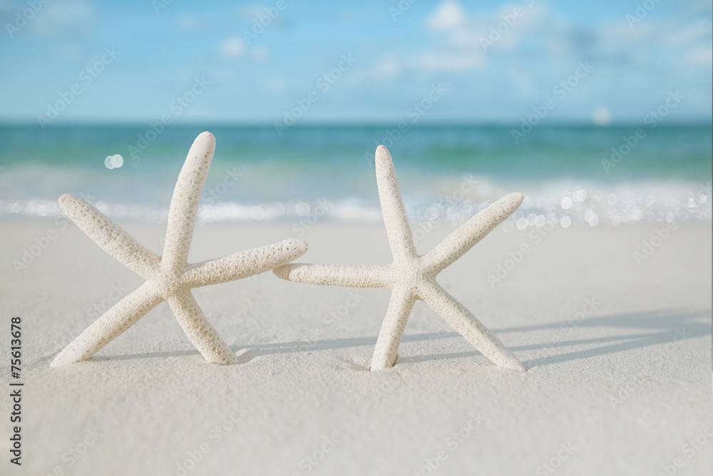 white starfish on white sand beach, with ocean sky and seascape