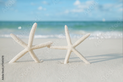 white starfish on white sand beach  with ocean sky and seascape