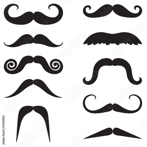 Fototapeta Moustache collection