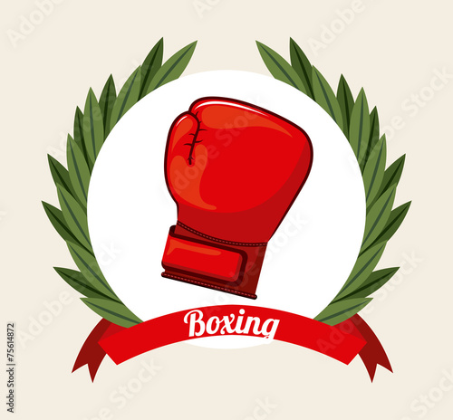 boxing sport