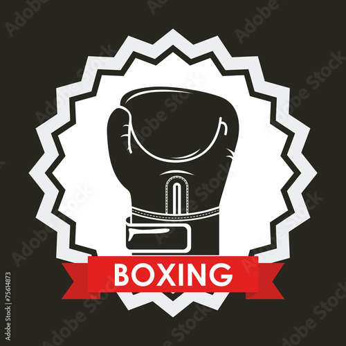 boxing sport