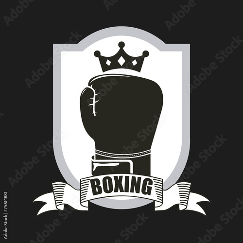 boxing sport